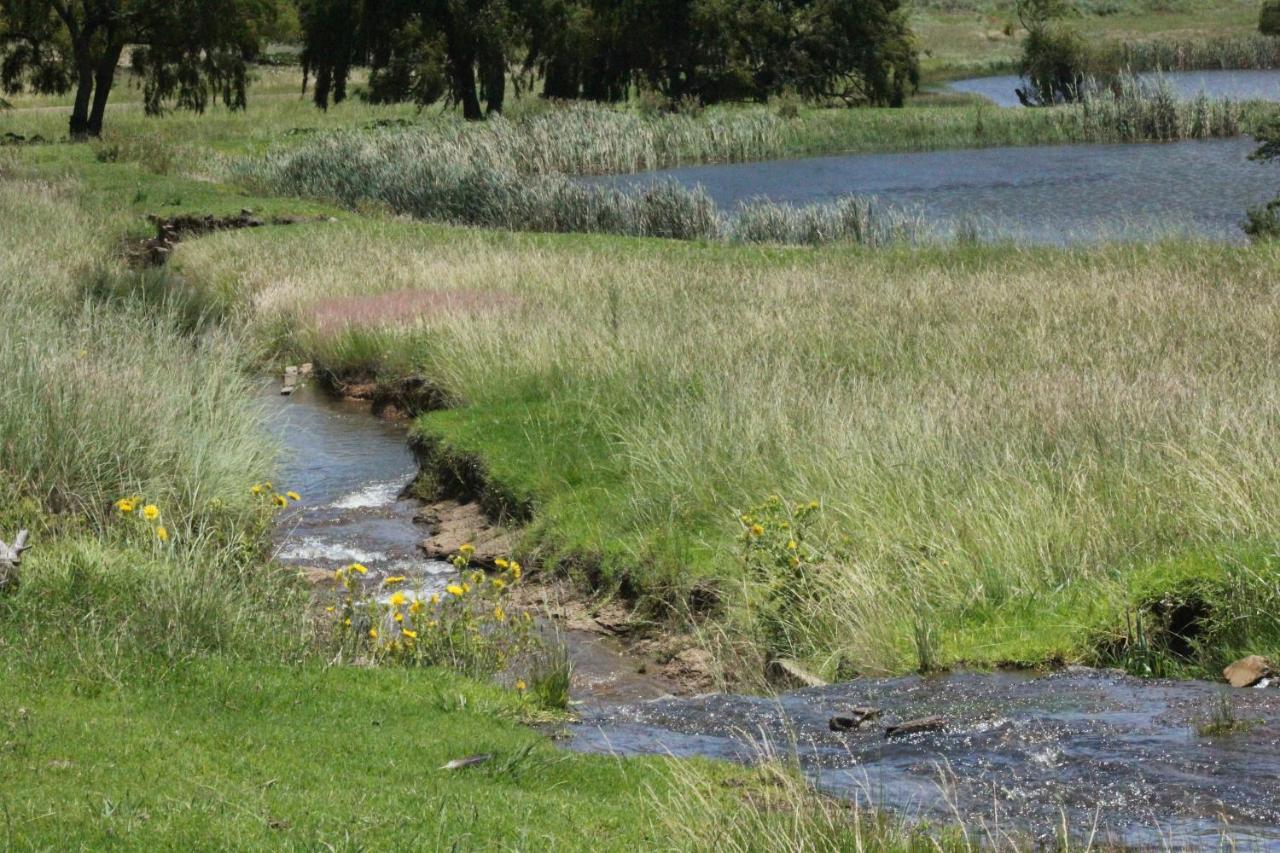 Wetlands Game Lodge Wakkerstroom ภายนอก รูปภาพ