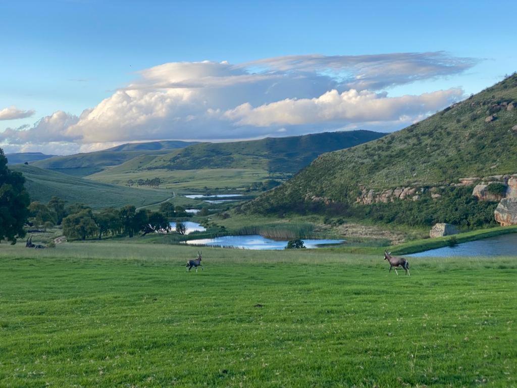 Wetlands Game Lodge Wakkerstroom ภายนอก รูปภาพ