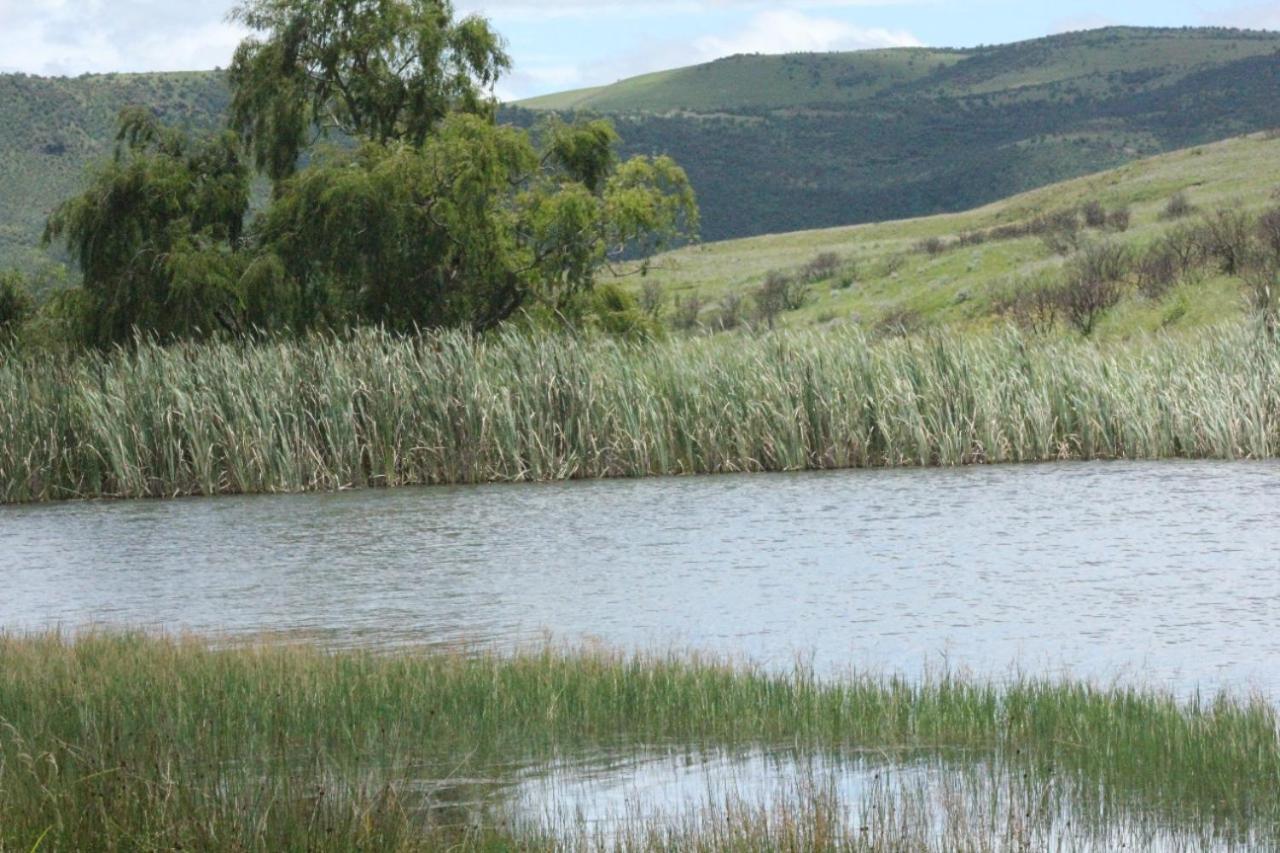 Wetlands Game Lodge Wakkerstroom ภายนอก รูปภาพ