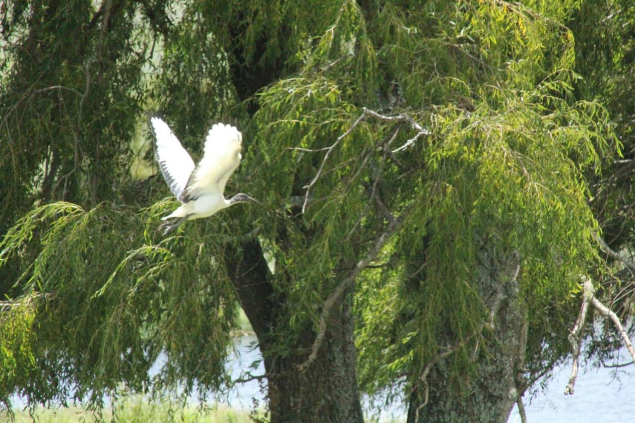 Wetlands Game Lodge Wakkerstroom ภายนอก รูปภาพ